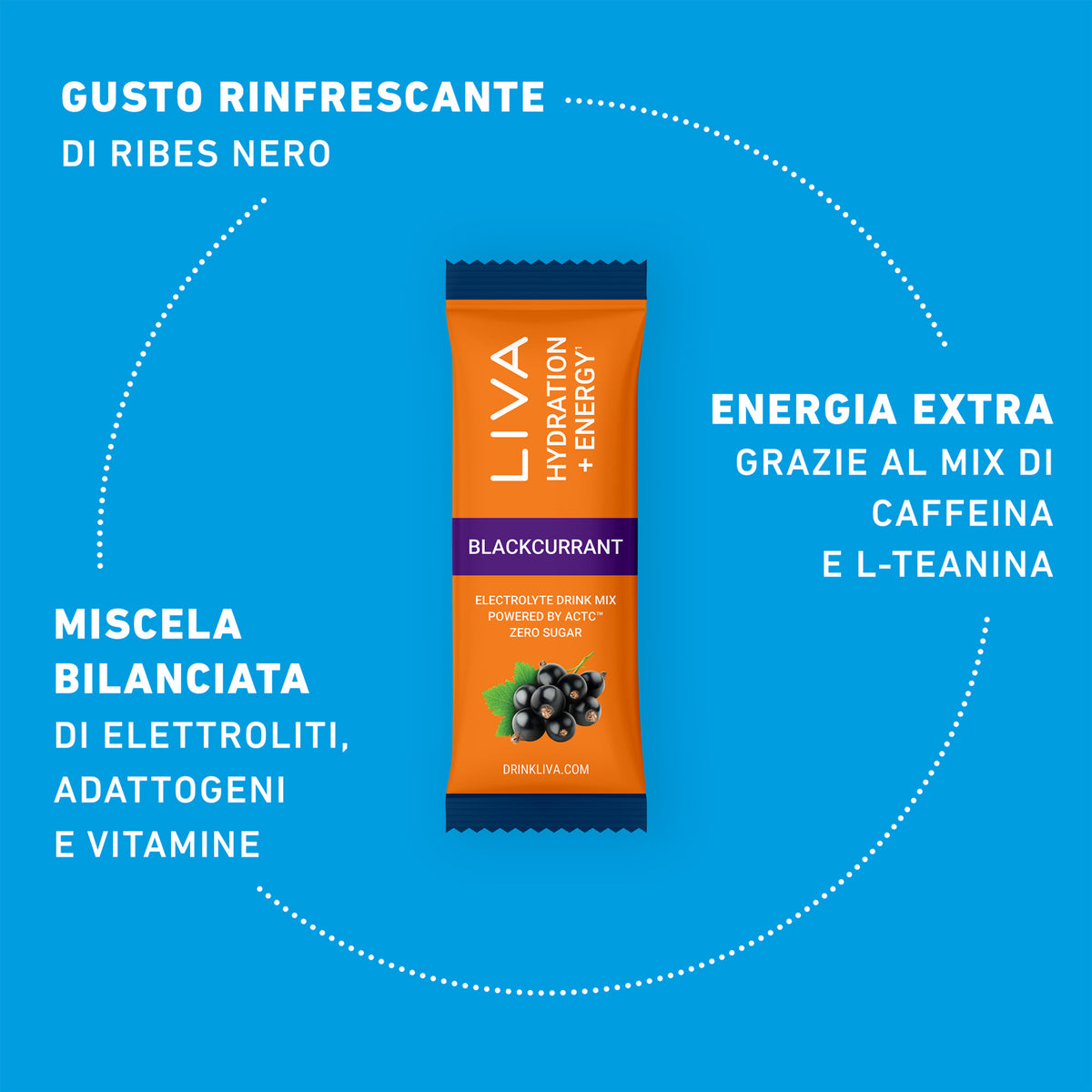 Liva Energy Ribes Nero Bustina