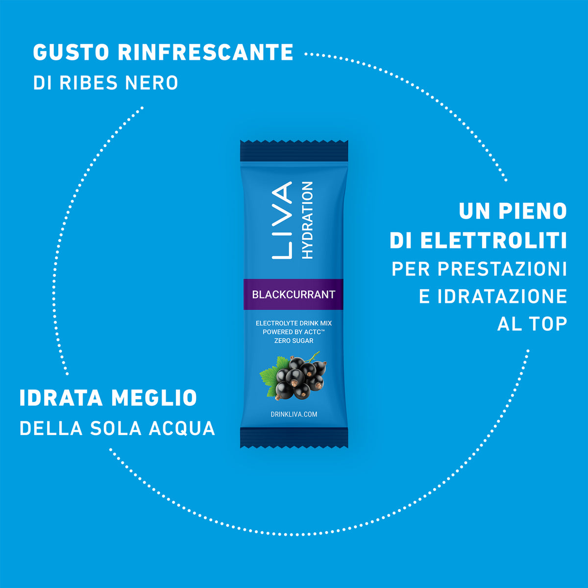 Liva Hydration Ribes Nero Bustina