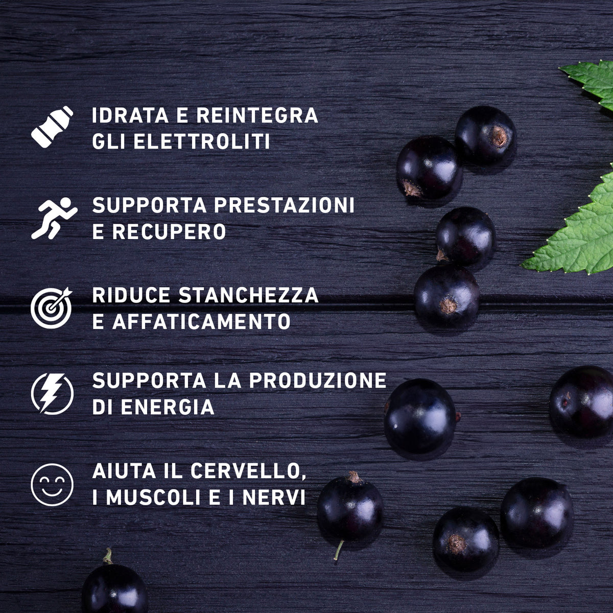 Liva Hydration Ribes Nero Benefici